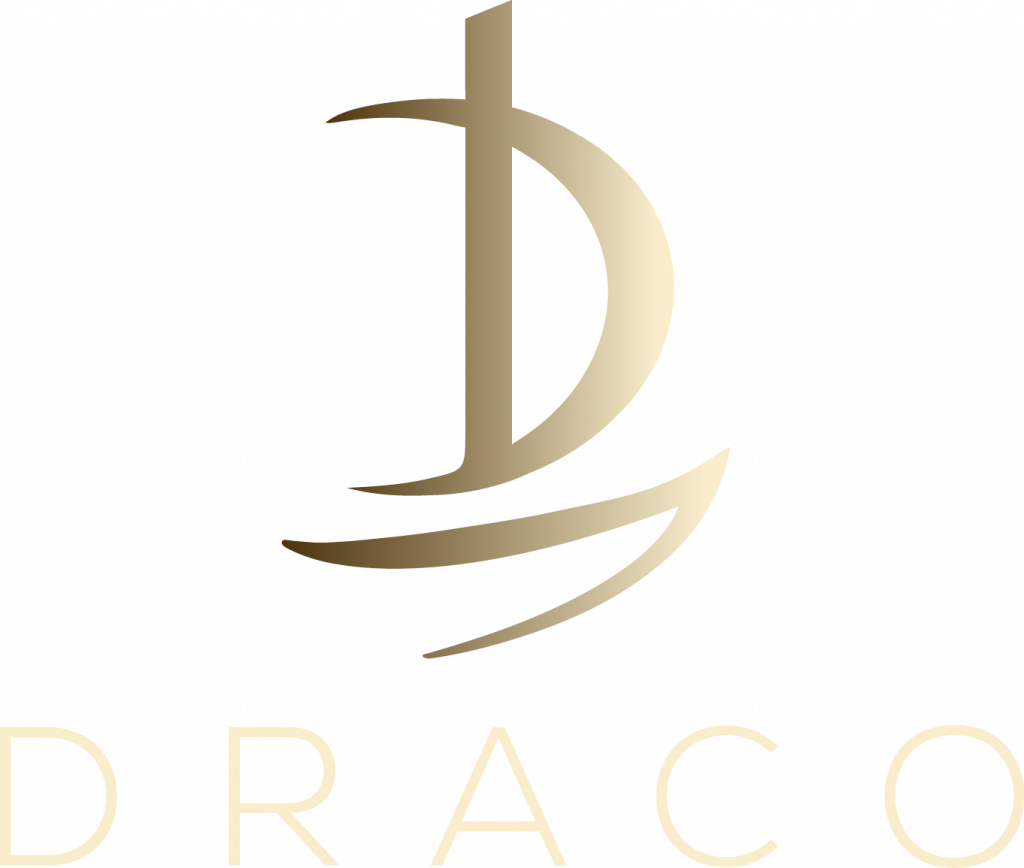 Partner 20